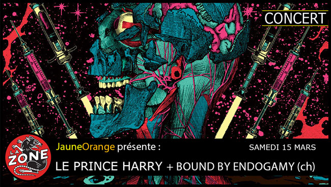 LE PRINCE HARRY + BOUND BY ENDOGAMY (ch)